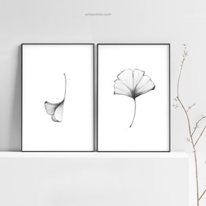 May include: Two black framed prints of simple line drawings of ginkgo leaves. The print on the left shows a single leaf with a curved stem. The print on the right shows a single leaf with a straight stem.