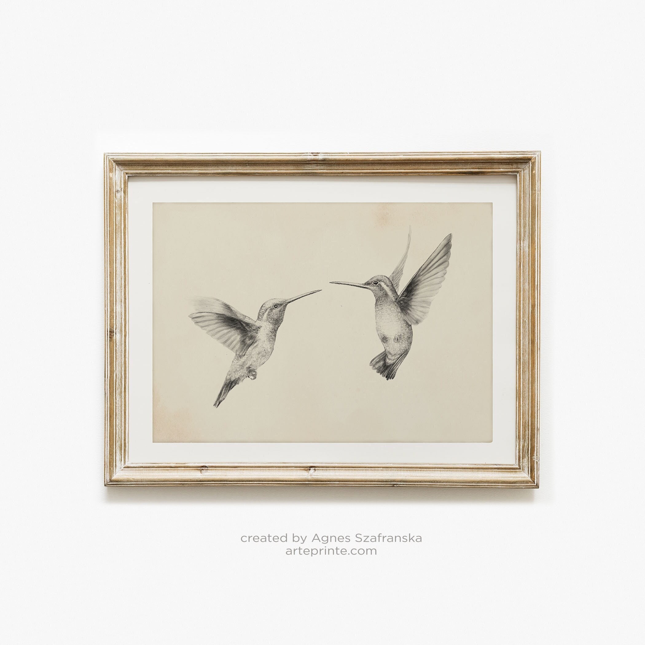Hummingbirds Sketch, Vintage Style Art Print, Pencil Drawing Bird Illustration, Cream Gray Sketch of Birds - Giclee Prints | Aga Szafranska