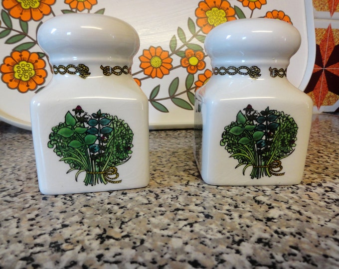 Set of retro 1970s Taunton Vale salt and pepper pots in Bouquet Garni design, Taunton Vale Bouquet Garni salt and pepper shakers