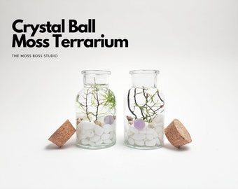 Lia Mini Crystal Ball Moss Terrarium DIY Craft Kit for Office Desk Accessories Indoor Plant Gift for Her Valentine's Day Gift for Girlfriend