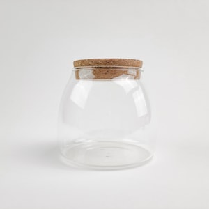 Ro Clear Glass Jar with Cork Top for Air Plants , Succulents, Terrarium DIY Crafting, Hand-Blown Glass Jar, High-Quality, Eco-Friendly