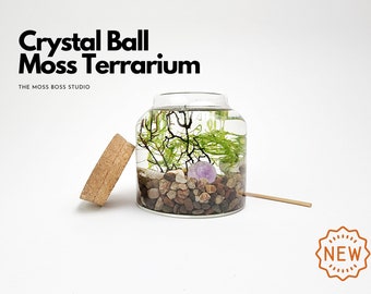 Oz Mini Crystal Ball Moss Terrarium DIY Craft Kit for Office Desk Accessories Indoor Plant Mother's Day Gifts from Daughter Birthday Gifts