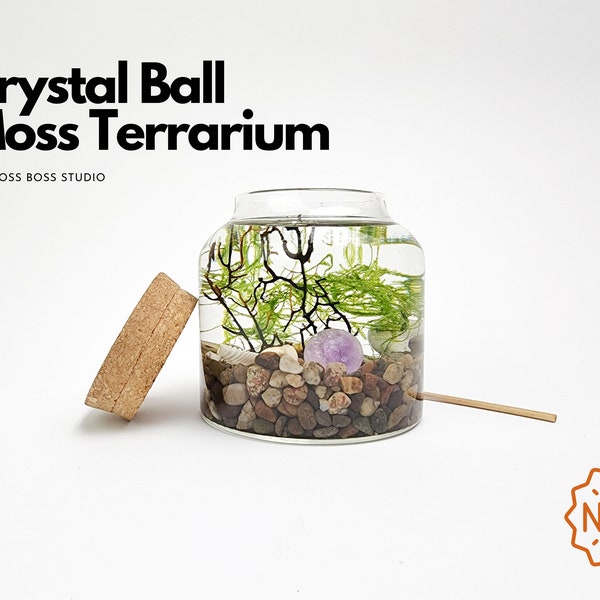 Oz Mini Crystal Ball Moss Terrarium DIY Craft Kit for Office Desk Accessories Indoor Plant Mother's Day Gifts from Daughter Birthday Gifts