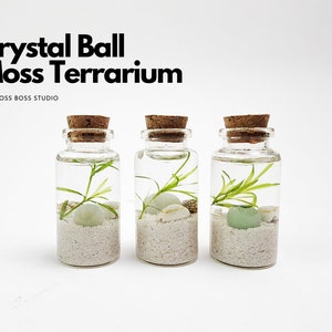 Set of 3 - Bini Mini Crystal Ball Terrarium Kit Home Office Desk Accessories DIY Craft Kit Christmas Day Gift Unique Birthday Gift for Her