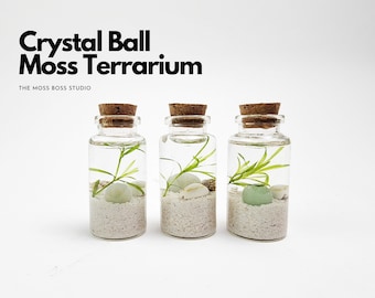 Set of 3 - Bini Mini Crystal Ball Terrarium Kit Home Office Desk Accessories DIY Craft Kit Christmas Day Gift Unique Birthday Gift for Her