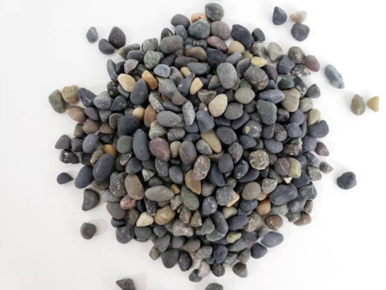Natural Pebbles Terrarium Supplies for Indoor Plant Succulent Etsy Canada