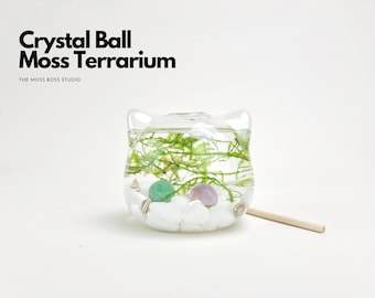 Cat Crystal Ball Moss Terrarium DIY Craft Kit for Office Desk Accessories Indoor Plant Gifts for Her Mother's Day Gifts Cat Lover's Gifts