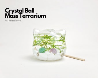 Cat Crystal Ball Moss Terrarium DIY Craft Kit for Office Desk Accessories Indoor Plant Gifts for Her Christmas Day Gifts Cat Lover's Gifts
