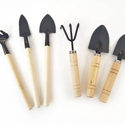3 Pc Mini Garden Tool Set Terrarium Supplies Wooden Shovel Rake for  Succulent Planter Pots Bonsai Planting Air Plants Indoor Plants - Etsy