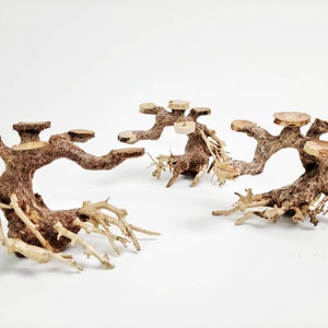 Flat-Top Nano Aquarium Driftwood Bonsai Tree Handcrafted for Terrarium Aquarium Planted Tank Fish Shrimp Terrarium Decor Aquarium Wood