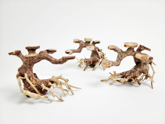 thumbnail image 2 of Bonsai Driftwood Aquarium Tree - 5 Inch Natural Handcrafted Fish Tank Decoration For Aquascaping 2 of 13