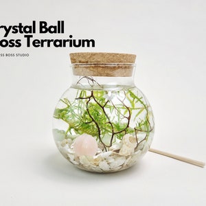 Bea Mini Crystal Ball Moss Terrarium Kit, Home Office Desk Decor, Fathers Day Gift, Birthday Gift, Office Desk Accessories, Graduation Gift