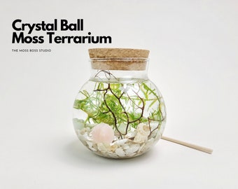 Bea Mini Crystal Ball Moss Terrarium Kit, Home Office Desk Decor, Fathers Day Gift, Birthday Gift, Office Desk Accessories, Graduation Gift