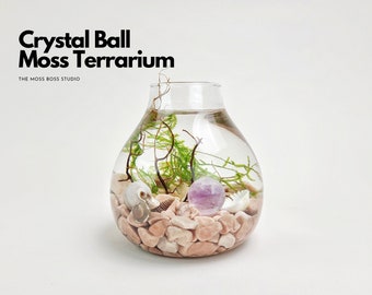 Jo Mini Crystal Ball Moss Terrarium DIY Craft Kit for Office Desk Accessories Christmas Day Gift from Daughter Unique Birthday Gifts for Her