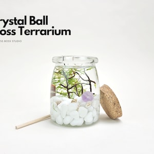 Em Mini Crystal Ball Moss Terrarium DIY Craft Kit, Birthday Gift for Plant Lover, Office Desk Accessories, Unique Christmas Day Gift for Her
