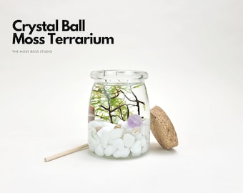 Em Mini Crystal Ball Moss Terrarium DIY Craft Kit, Birthday Gift for Plant Lover, Office Desk Accessories, Unique Christmas Day Gift for Her