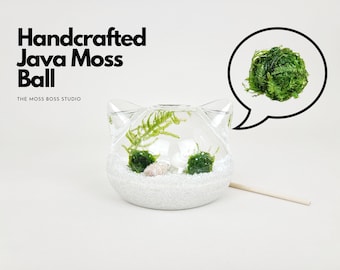JIDAFANG-US 8 Pcs Aquarium Moss Natural Green Moss Decorative Ball Potted Plant Moss Balls Aquarium Garden Moss Decoration Terrarium Fish Tank JIDAFANG-US 8 Pcs Aquarium Moss Natural Green Moss Decorative Ball Potted Plant Moss Balls Aquarium Garden Moss Decoration Terrarium Fish Tank