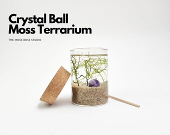 Zy Mini Crystal Ball Moss Terrarium DIY Craft Kit for Office Desk Accessories Plant Lover Gift for Her Valentine's Day Gifts for Girlfriend