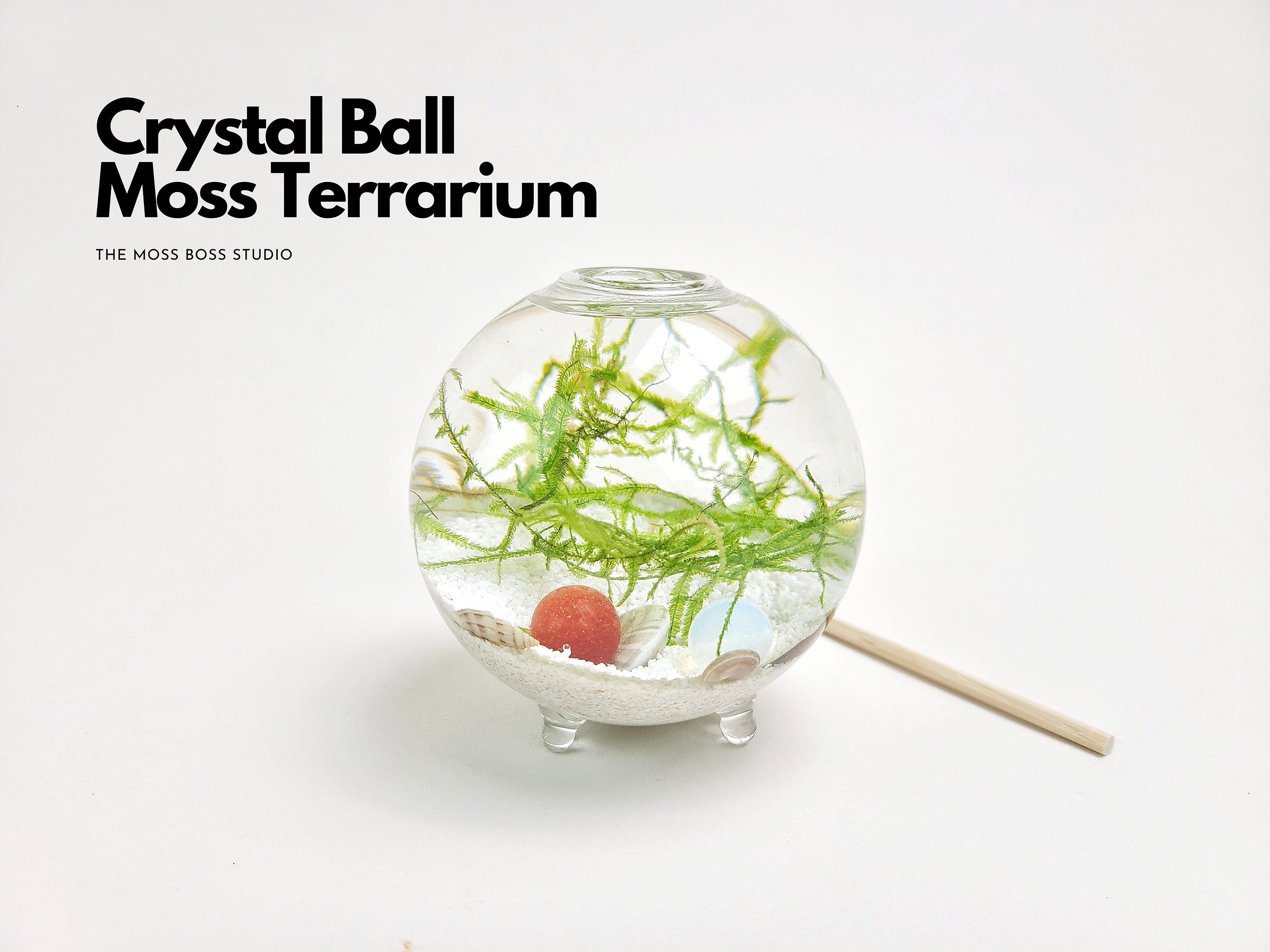 Small Zen Crystal Ball Moss Terrarium DIY Craft Kit for Office Desk Accessories Indoor Plant Gift for Her Father's Day Gift from Daughter