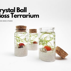 Set of 3 - Rae Mini Crystal Ball Terrarium DIY Craft Kit Home Office Desk Accessories Unique Christmas Day Gift Desk Decor Birthday Gift