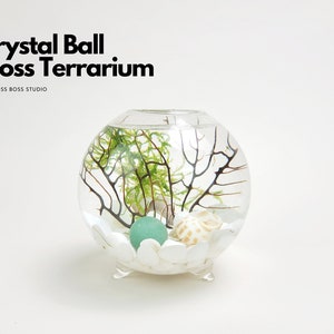 Vi Mini Crystal Ball Moss Terrarium DIY Craft Kit Gift for Office Desk Accessories Fun Indoor Plant Gifts for Her Unique Mother's Day Gifts