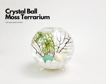 Vi Mini Crystal Ball Moss Terrarium DIY Craft Kit for Office Desk Accessories Fun Indoor Plant Gifts for Her Unique Mother's Day Gifts