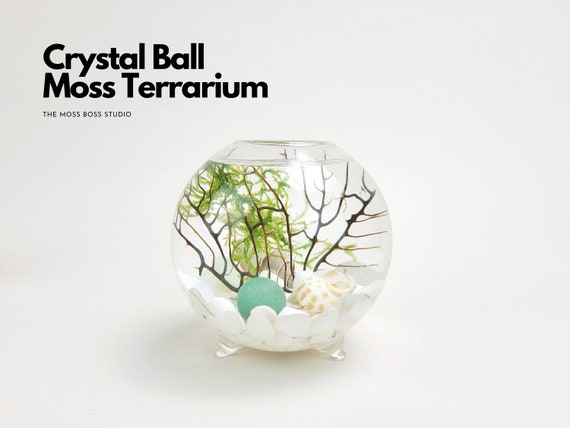 Vi Mini Crystal Ball Moss Terrarium DIY Craft Kit Gift for Office Desk Accessories Fun Indoor Plant Gifts for Her Unique Christmas Day Gifts