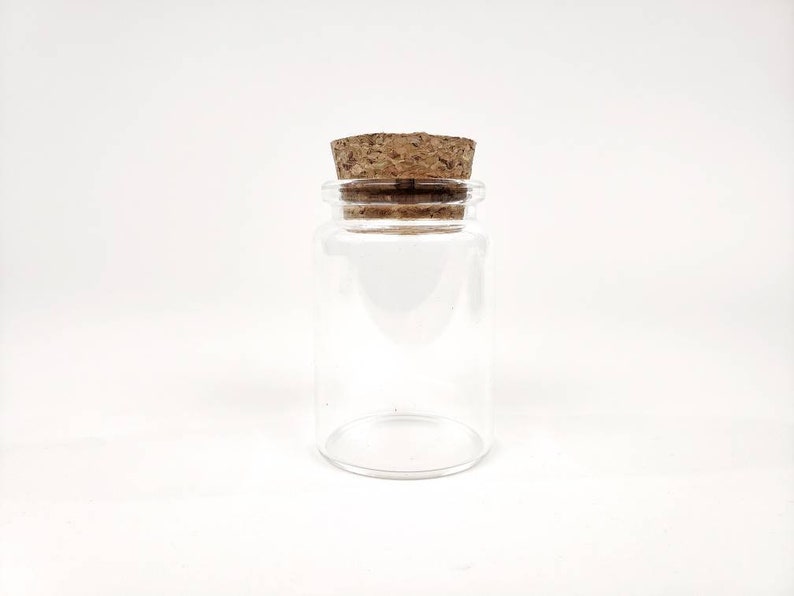 Eli Nano Java Moss Ball Terrarium DIY Craft Kit for Office Desk Accessories Christmas Day Gifts from Daughter Indoor Plant Birthday Gifts image 2