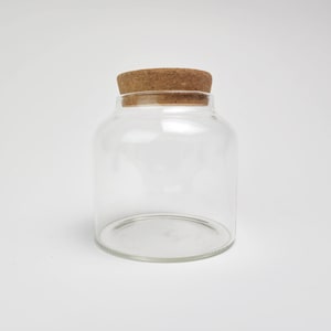 Oz Clear Glass Jar with Cork Top for Air Plants , Succulents, Terrarium DIY Crafting, Hand-Blown Glass Jar, High-Quality, Eco-Friendly