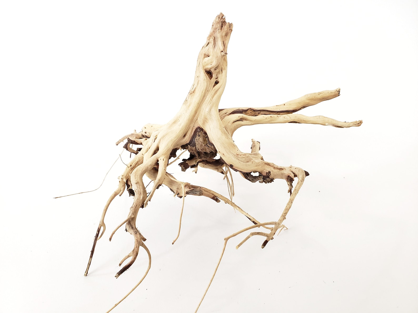 Natural Driftwood Tigerwood Aquarium Decoration Moss Ball Etsy