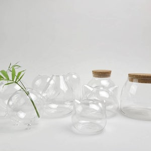 Cat Glass Jar Terrarium Container Clear Glass for Terrarium DIY Crafting Stem Plant Holder, Hand-Blown Glass Jar, High-Quality, Eco-Friendly image 5