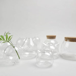 May include: A set of six clear glass vases with cork lids. The vases are various shapes and sizes, including round, oval, and rectangular. The vases are perfect for displaying flowers or other decorative items.