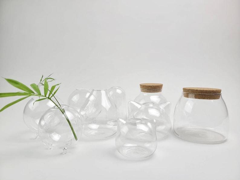 May include: A set of six clear glass vases with cork lids. The vases are various shapes and sizes, including round, oval, and rectangular. The vases are perfect for displaying flowers or other decorative items.