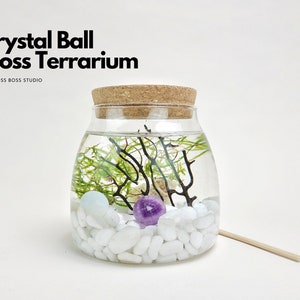 Ro Mini Crystal Ball Moss Terrarium DIY Craft Kit for Office Desk Accessories Home Decor Gift for Her Birthday Gift Unique Mother's Day Gift