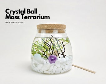 Ro Mini Crystal Ball Moss Terrarium DIY Craft Kit for Office Desk Accessories Home Decor Gift for Her Birthday Gift Unique Christmas Gifts