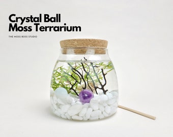 Ro Mini Crystal Ball Moss Terrarium DIY Craft Kit for Office Desk Accessories Natural Home Decor Gift for Her Birthday Gift for Girlfriend