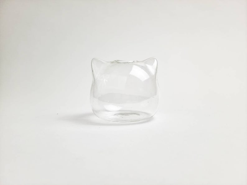 Cat Glass Jar Terrarium Container Clear Glass for Terrarium DIY Crafting Stem Plant Holder, Hand-Blown Glass Jar, High-Quality, Eco-Friendly image 3