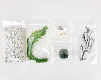 Java Moss Ball Terrarium DIY Craft Kit Aquatic Live Plant Office Accessories Home Decor DIY Craft Kits Unique Christmas Day Gifts Holiday