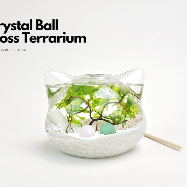 Big Cat Mini Crystal Ball Moss Terrarium DIY Craft Kit for Office Desk Accessories Indoor Plant Gifts for Her Unique Christmas Day Gift Idea