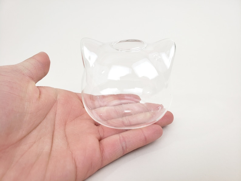 Cat Ears Java Moss Ball Terrarium Kit Father's Day Gift Etsy