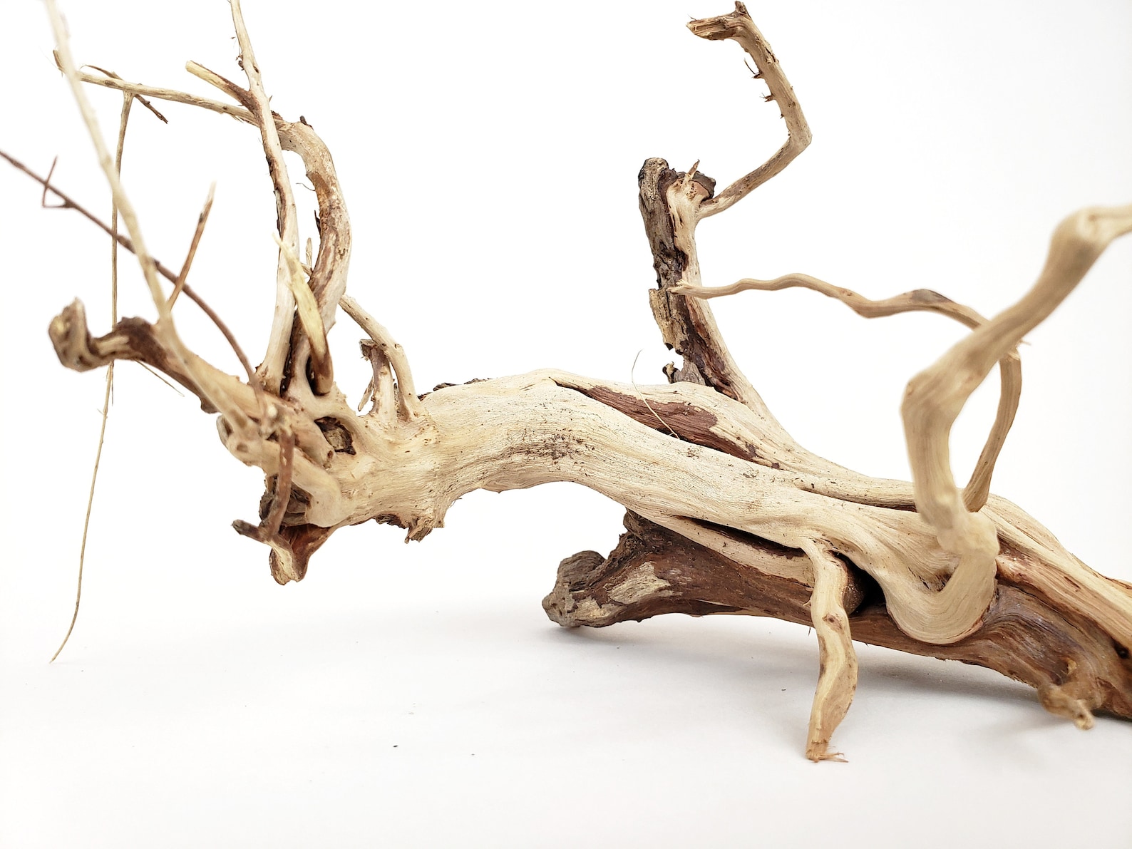 Natural Driftwood Tigerwood Aquarium Decoration Moss Ball Etsy