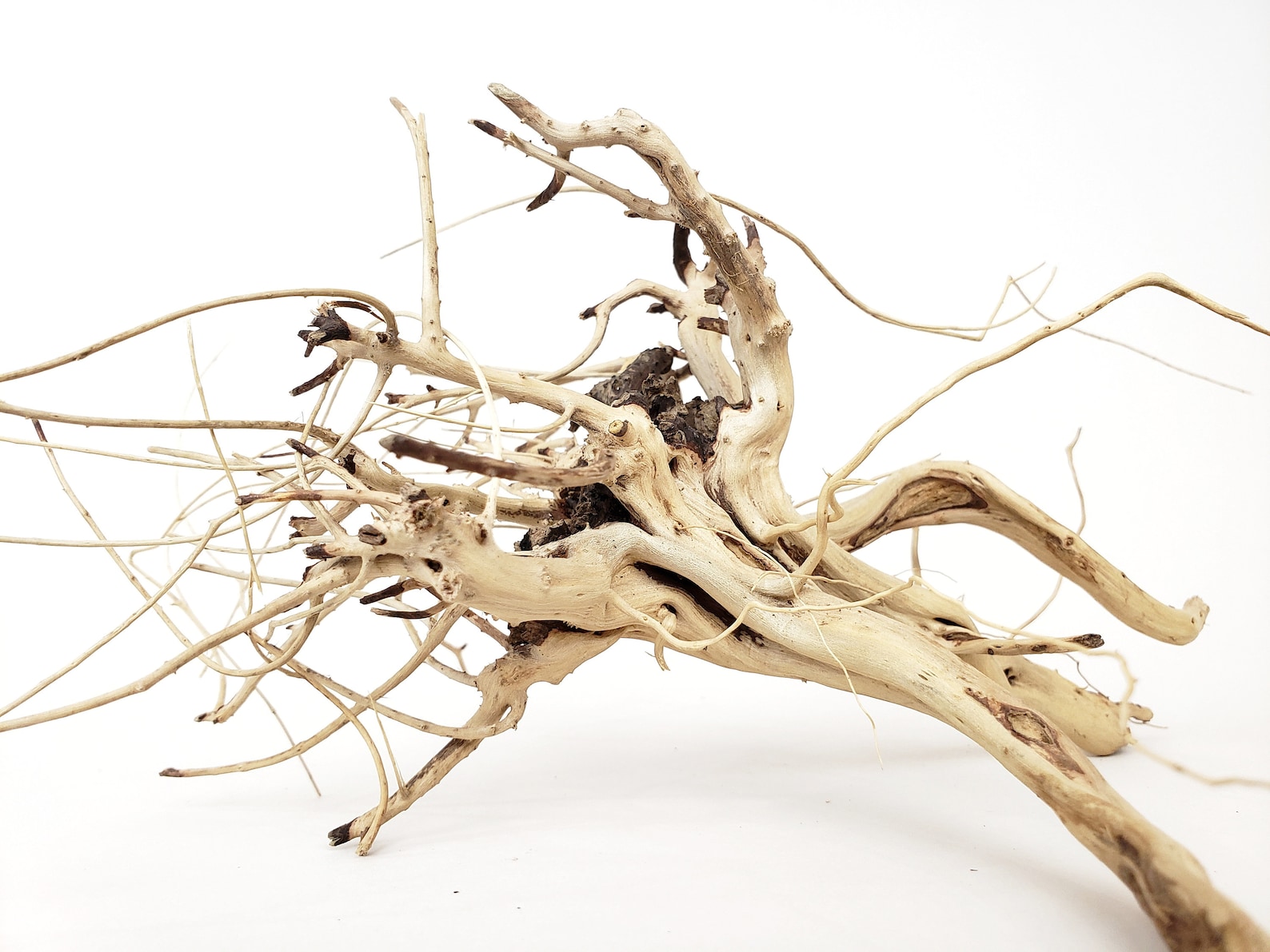 Natural Driftwood Tigerwood Aquarium Decoration Moss Ball Etsy