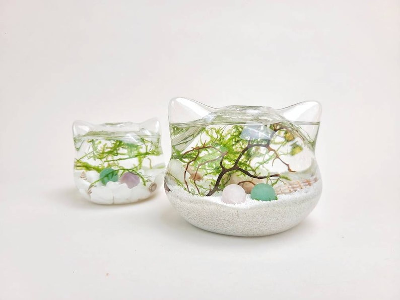Big Cat Mini Crystal Ball Moss Terrarium DIY Craft Kit for Office Desk Accessories Indoor Plant Gift Valentine's Day Gifts for Her and Him image 2