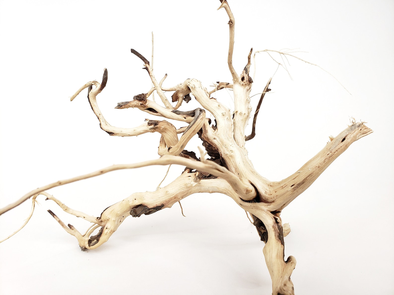 Natural Driftwood Tigerwood Aquarium Decoration Moss Ball Etsy