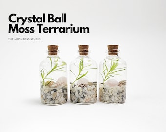 Jin Mini Crystal Ball Moss Terrarium DIY Craft Kit for Office Desk Accessories Home Decor Gifts for Her Christmas Day Gifts from Daughter
