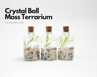 Jin Mini Crystal Ball Moss Terrarium DIY Craft Kit for Office Desk Accessories Home Decor Gift for Her Valentine's Day Gifts for Girlfriend