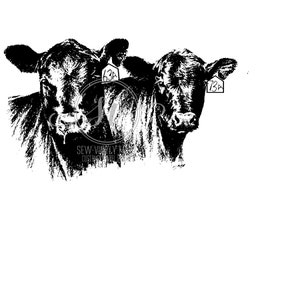 May include: Black and white illustration of two cows with ear tags. The ear tags have the numbers 63A and 73A on them.