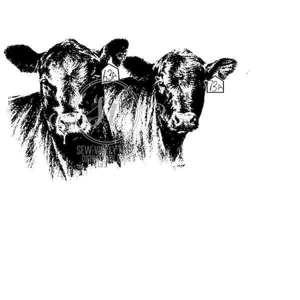 cows