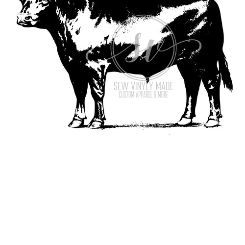 Black Angus Bull Svg Etsy