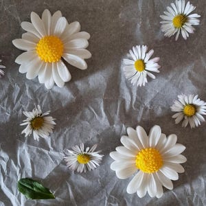 Bomboniera completa com confete, fitas e cartão Sabonete em formato de margarida - pirulito - placeholder